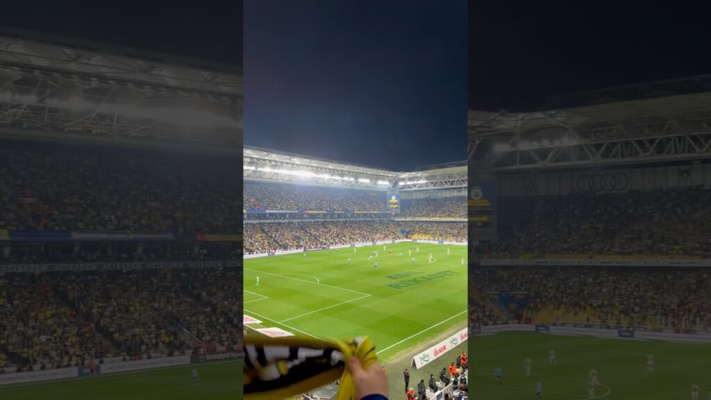 Alexander Djiku Gol anonsu Adana Demirspor maçı #fenerbahçe #tribün #kadıköy #djiku #shorts