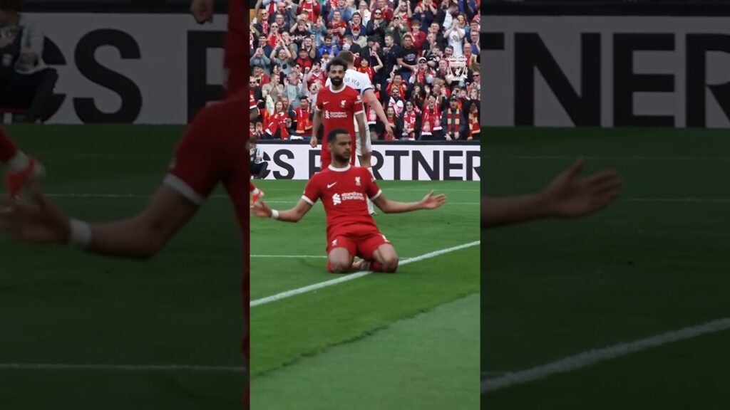 ⚽️ Brilliant header from Cody Gakpo