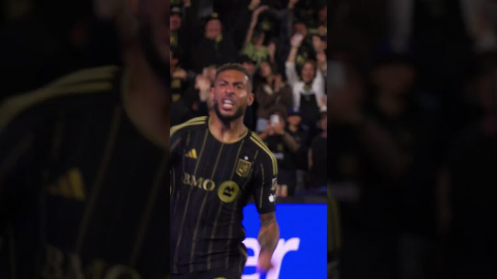 This angle 🤌  #LAFC  #Soccer #Football #Goal