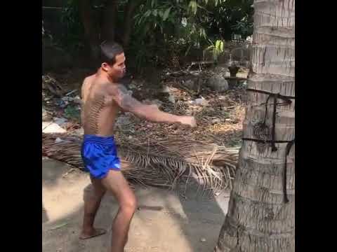 Muay Thai Shin Conditioning with Palm Tree 😮