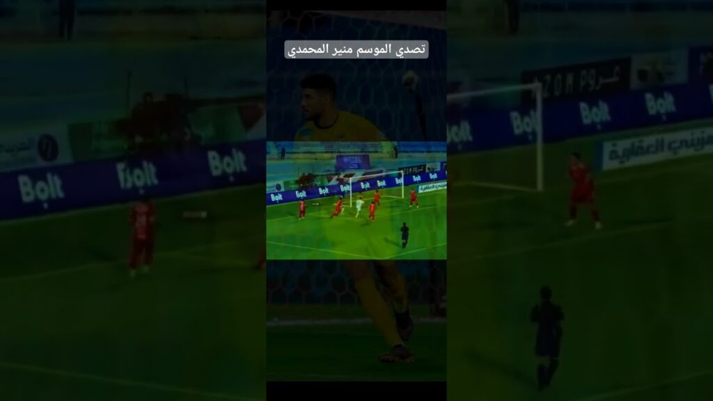 منير المحمدي في تصدي الموسم