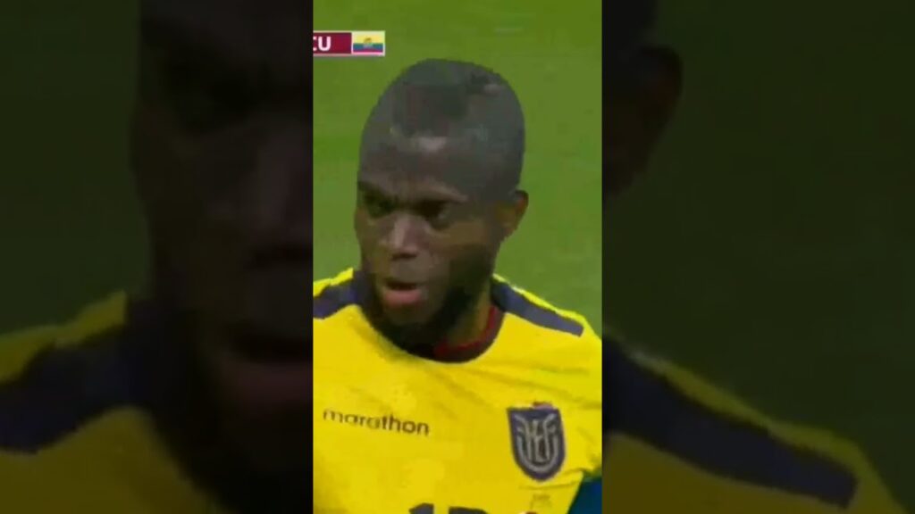 ملخص قطر والاكوادور - أهداف الاكوادور| Qatar vs Ecuador #shorts