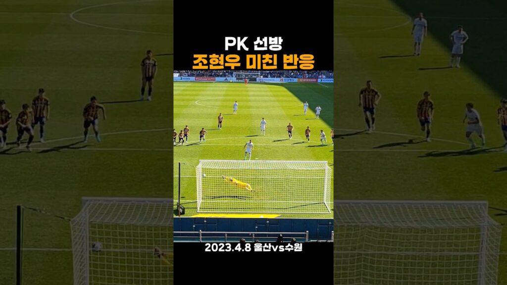 ⚽️ 골키퍼 조현우의 미친 반응 #PK선방 #shorts