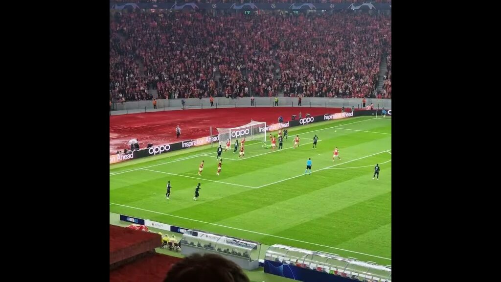 Frederik Ronnow (Union Berlin) One of the best goalkeepers in Bundesliga