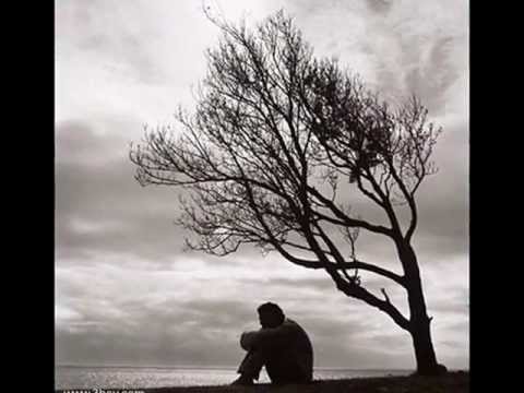 امال ماهر مش همنعك جميلة اوى