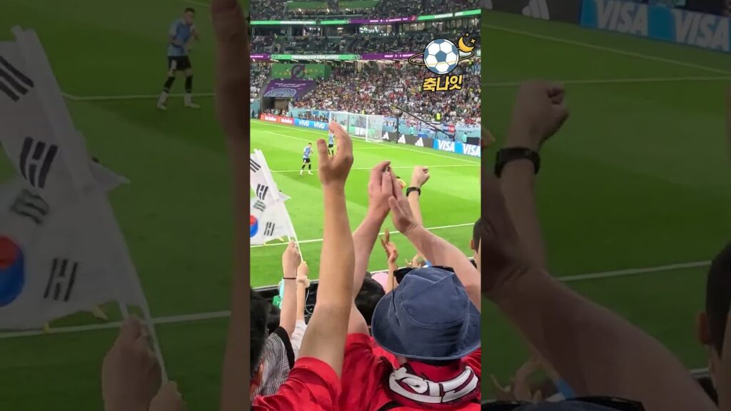 조규성과 손흥민의 아까운 슛 그리고 황인범의 호응유도 직관