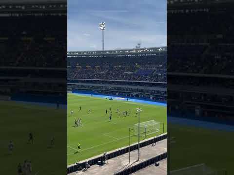 Hellas Verona 2 1 Fiorentina Goal Lazović