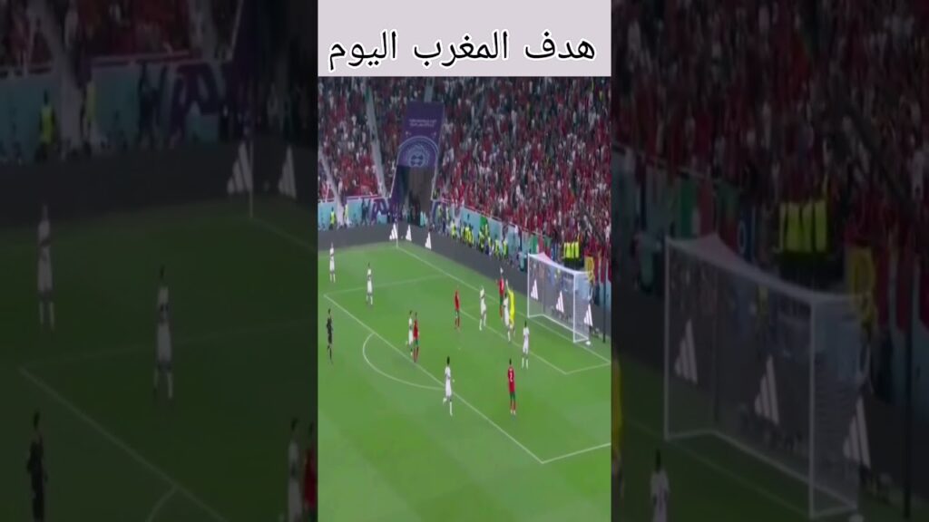 هدف المغرب ضد البرتغال اليوم #shorts