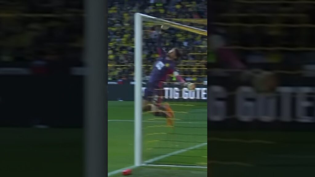 Gregor Kobel Amazing Save 🔥 #shorts #goalkeeper