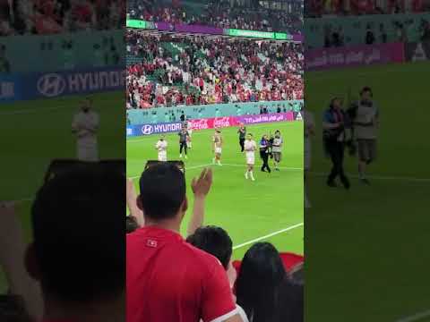 تحية لاعبين المنتخب التونسي للجماهير 🔥❤️