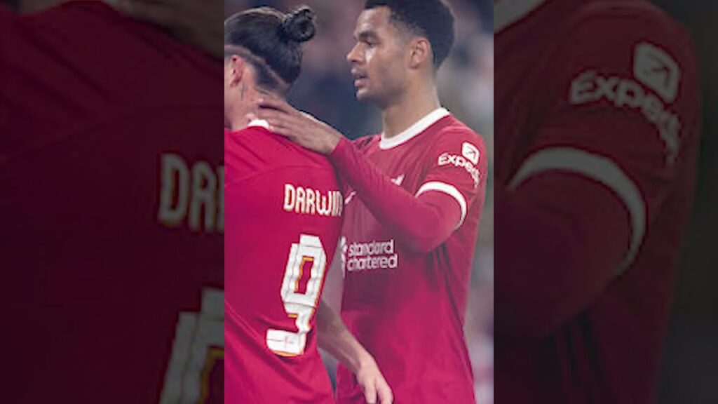 Cody Gakpo reveals issues with Darwin Nunez as Liverpool star eyes expanded role #anfield #liverpol