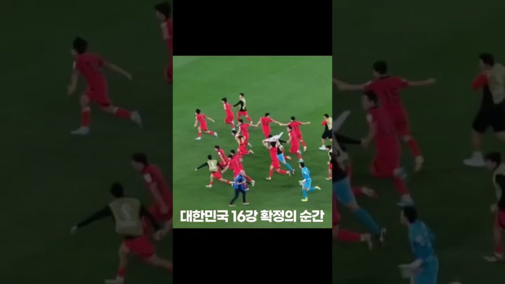 미쳐버린 대한민국 16강 확정 순간 선수들 현장영상 #카타르월드컵 #qatarworldcup #손흥민 #조규성 #황희찬 #16강 #shorts