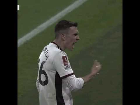 João Palhinha 🇵🇹❤️