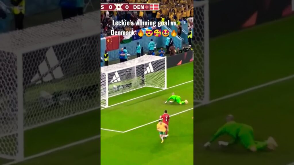Leckie's winning goal vs Denmark 🔥😍 #shorts #football #fifaworldcup2022 #leckie