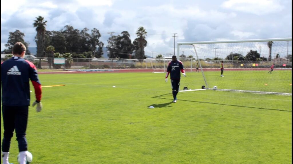Sean Johnson and the Reaction Ball