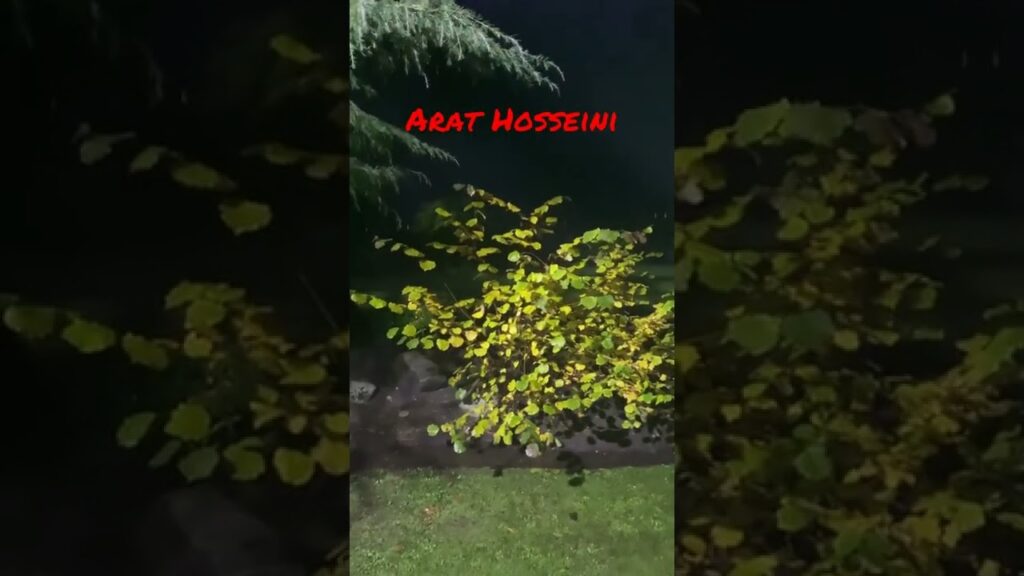 Arat Hosseini With Natural Home | ARAT Hosseini Official #Arat