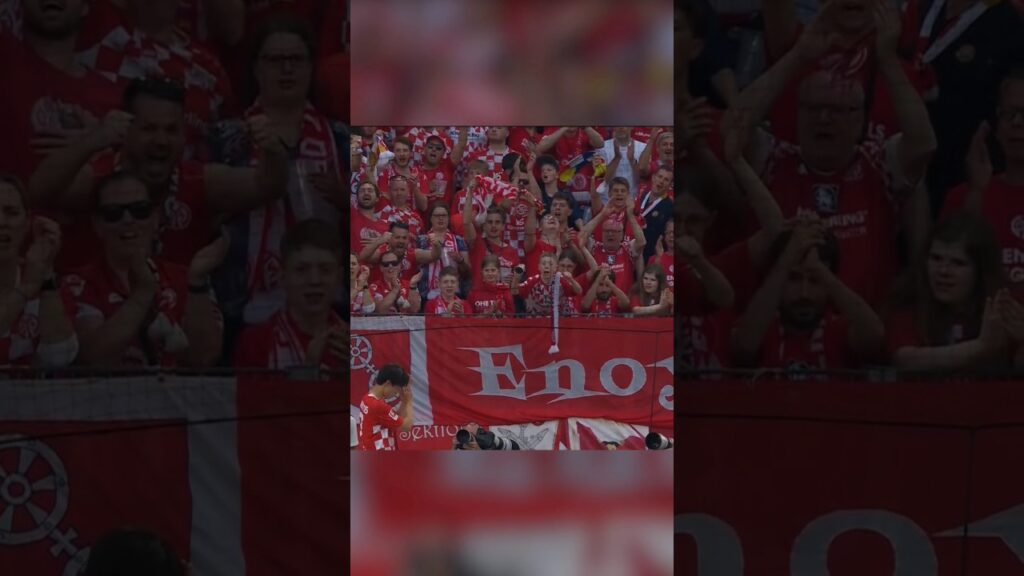 Lee Jae-sung gets 2 goals in 4 minutes. FSV Mainz 05.