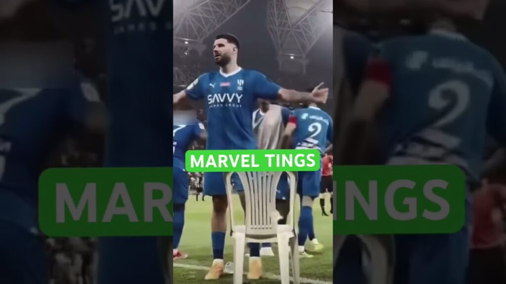 Aleksandar Mitrović 🛡️