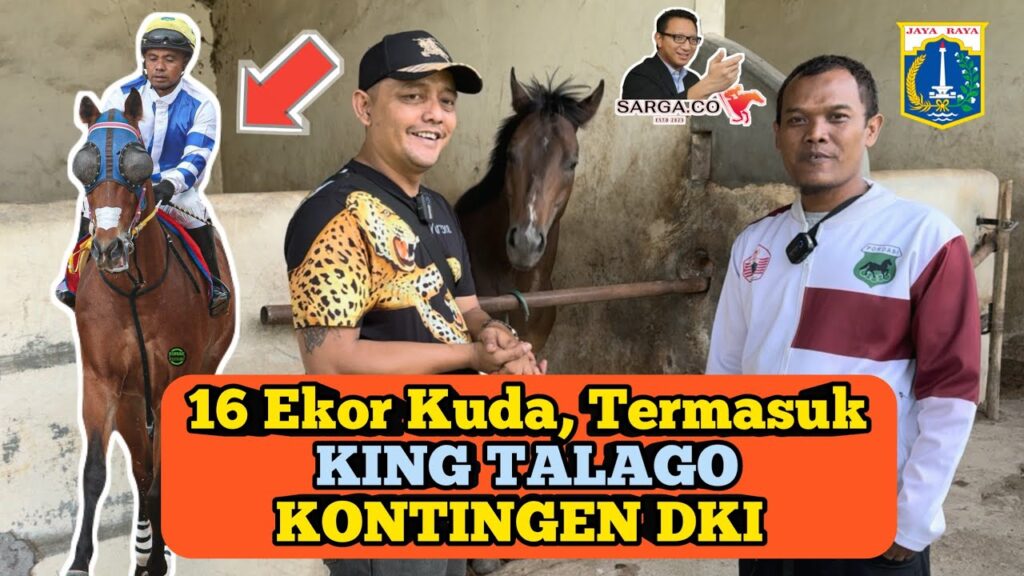 KONTINGEN DKI Semakin Kuat. Kuda KING TALAGO Sudah bergabung.