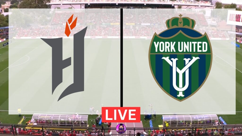 York United vs Forge Live | Premier League 2024 | Live Football Match