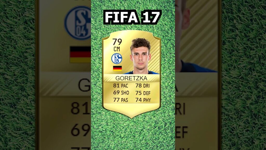 The career of Goretzka