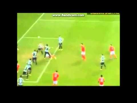 O frango do século - Rui Patrício