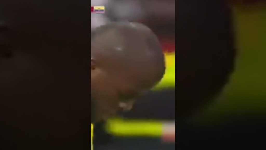 كأس العالم اهداف مباراة قطر والإكوادور