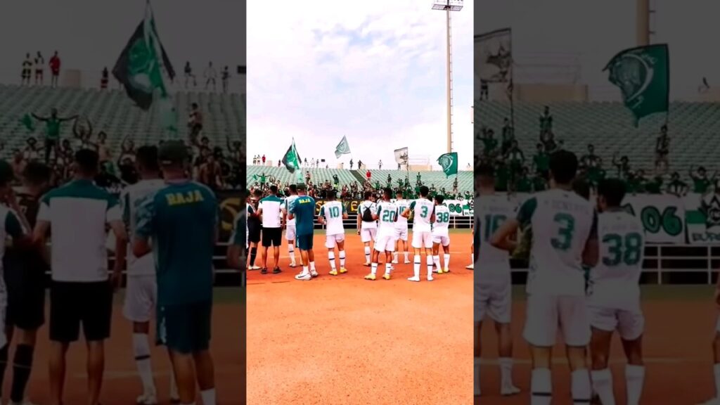 أخبار الرجاء الرياضي العالمي أخبار الرجاء الرياضي العالمي