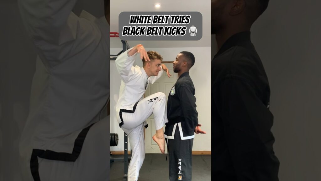 WHITE BELT TRIES BLACK BELT KICKS
