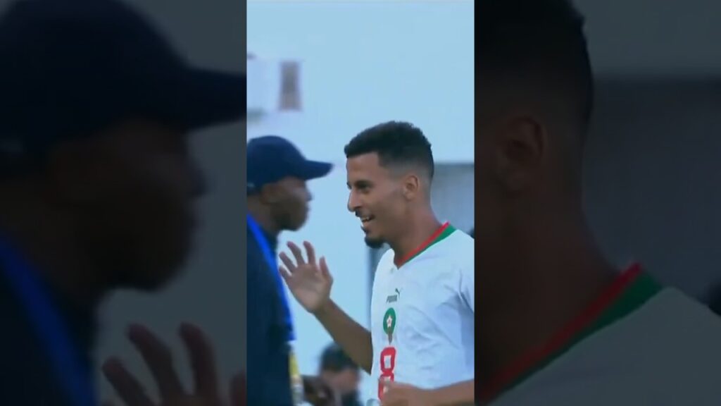 Ce but ✨ d’Azzedine Ounahi avec le Maroc hier soir 🇲🇦😍 #morocco #ounahi #football #goal