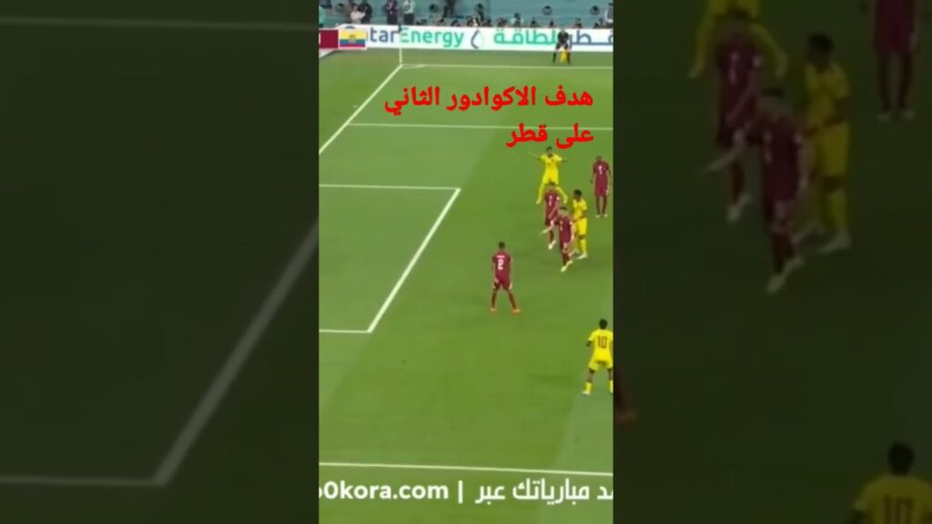 هدف الاكوادور الثاني على قطر