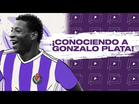 PREGUNTAS Y RESPUESTAS CON GONZALO PLATA 🇪🇨💜