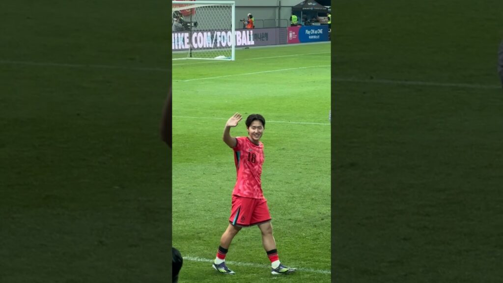 #황희찬 #이강인 #김진수 #조현우 #조유민