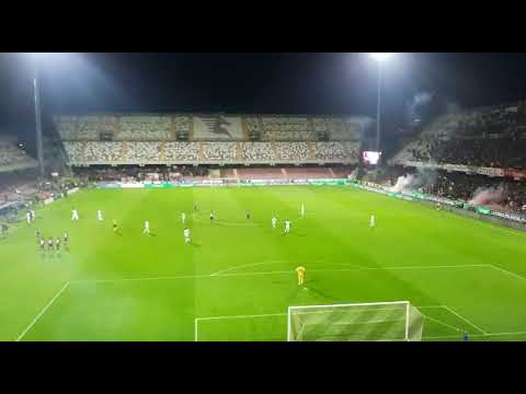 Esultanza Goal Salernitana - Bologna (Boulaye Dia) #salernitana