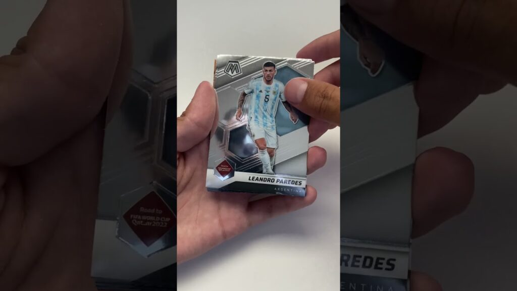 Mosaic 2022 World cup ( Gerardo Arteaga)