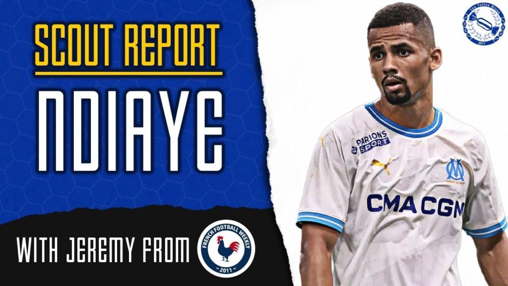 Scout Report | Iliman Ndiaye - Are Everton Signing A New Hero?