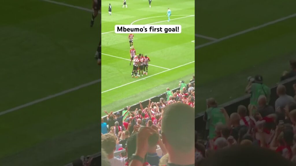 Mbeumo's goal! Brentford 2-2 Tottenham. 13.08.23