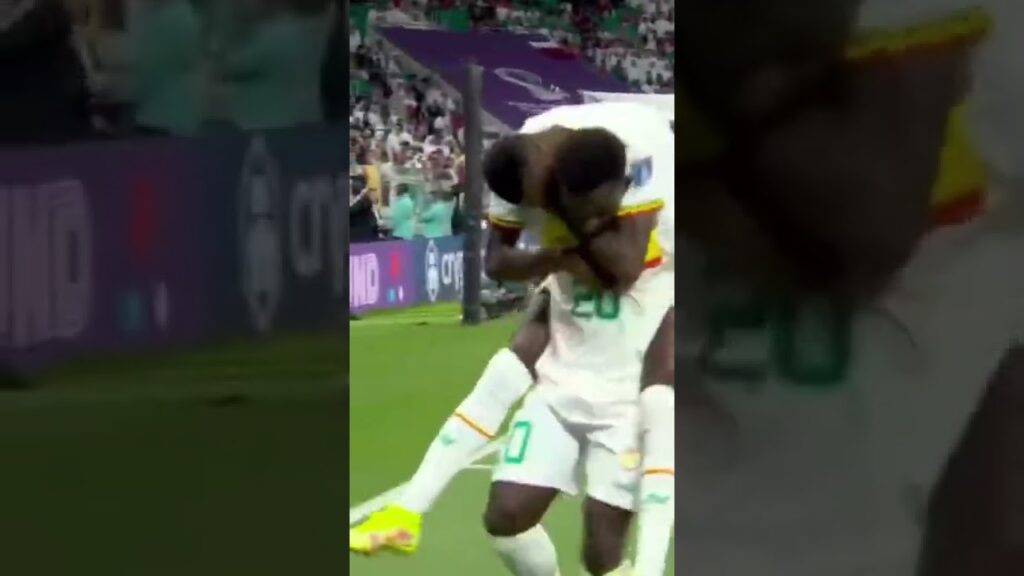 Victoire du Sénégalet but de Bamba Dieng, notre chouchou#qatsen #worldcup2022 #senegal
