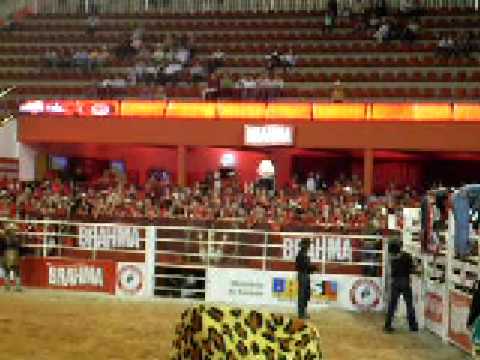 OTÁVIO BRUNO DA SILVA - BARRETOS 2008