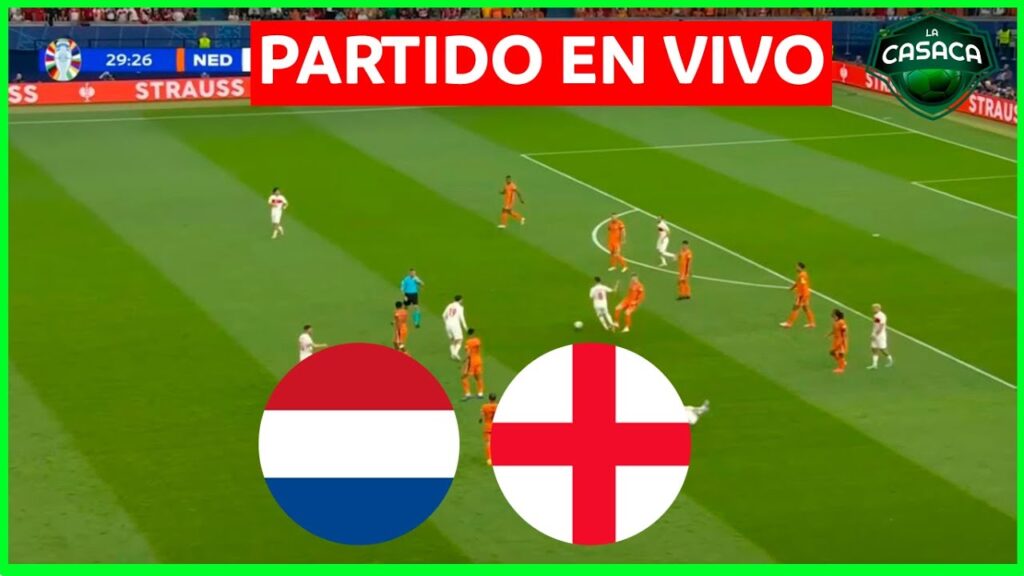 🚨 PAÍSES BAJOS vs INGLATERRA EN VIVO 🔥 UEFA EURO 2024