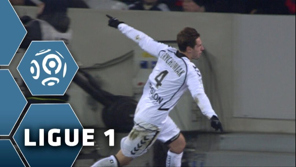 But Grzegorz KRYCHOWIAK (76') - LOSC Lille-Stade de Reims (1-2) - 12/01/14