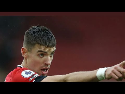 Jan Bednarek Goal Vs Arsenal | Southampton Vs Arsenal | 1-0 |