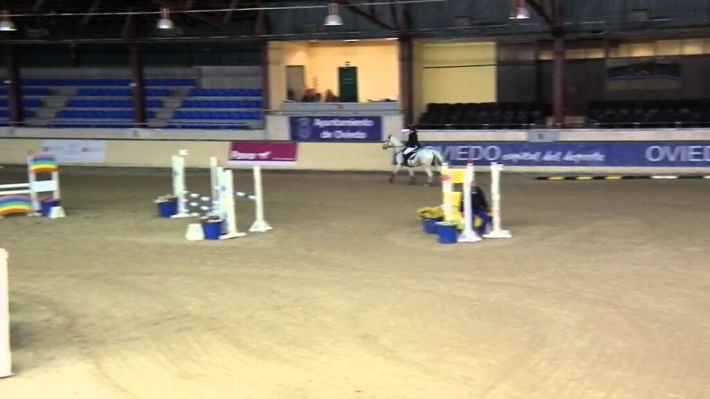 Ro-Ro, Liga Norte (2013 1110)