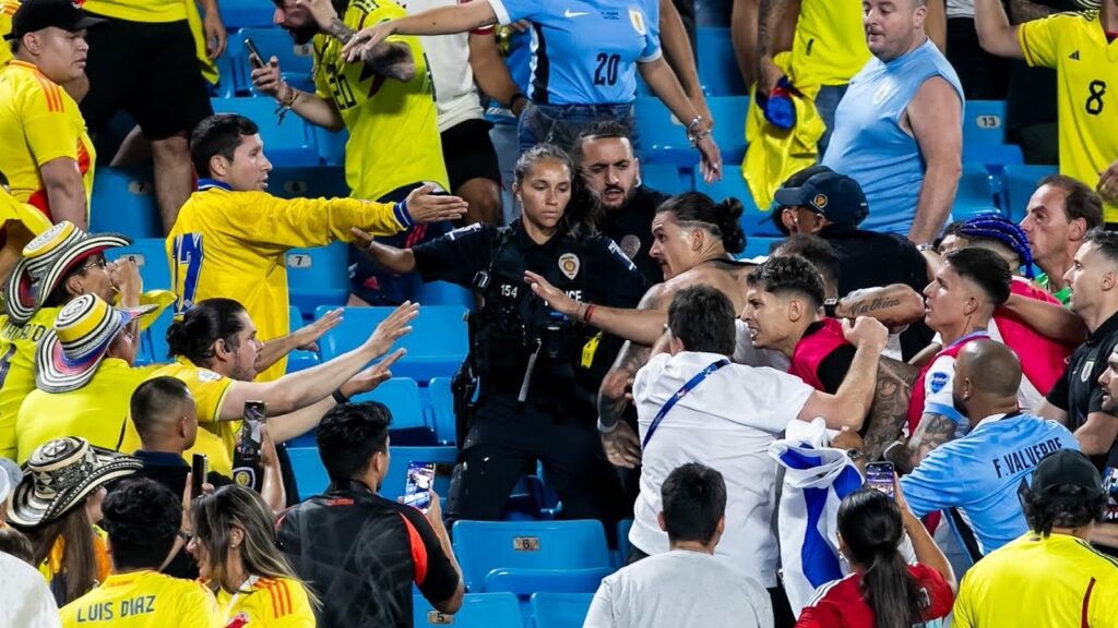 休賽季場邊新聞：Darwin Nunez、Enzo Fernandez