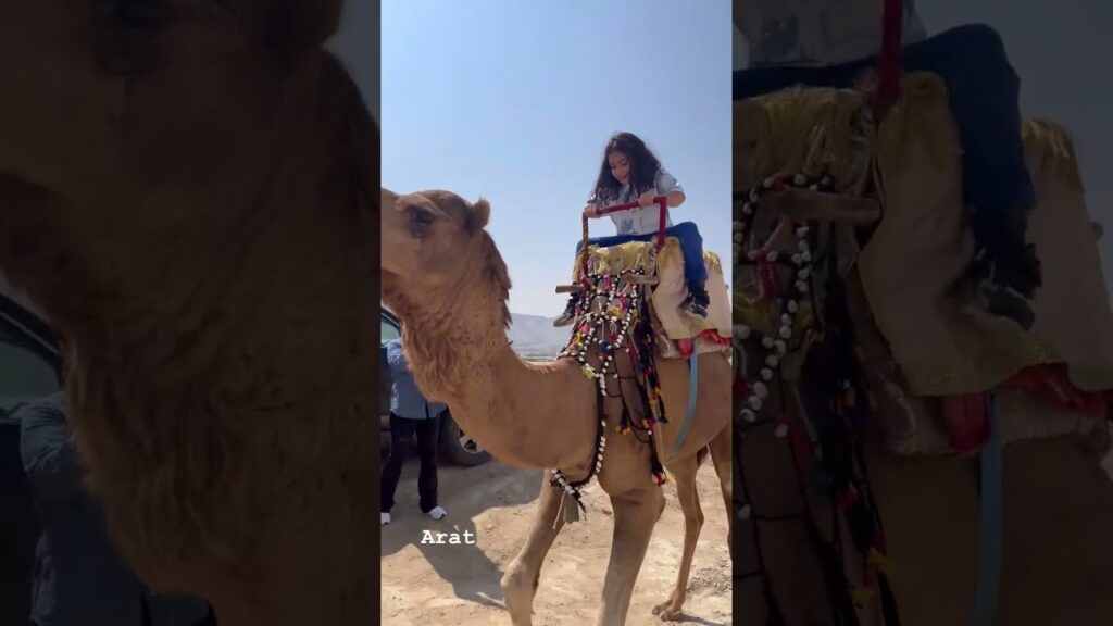 In the desert country arat hosseini #football #arathosseini