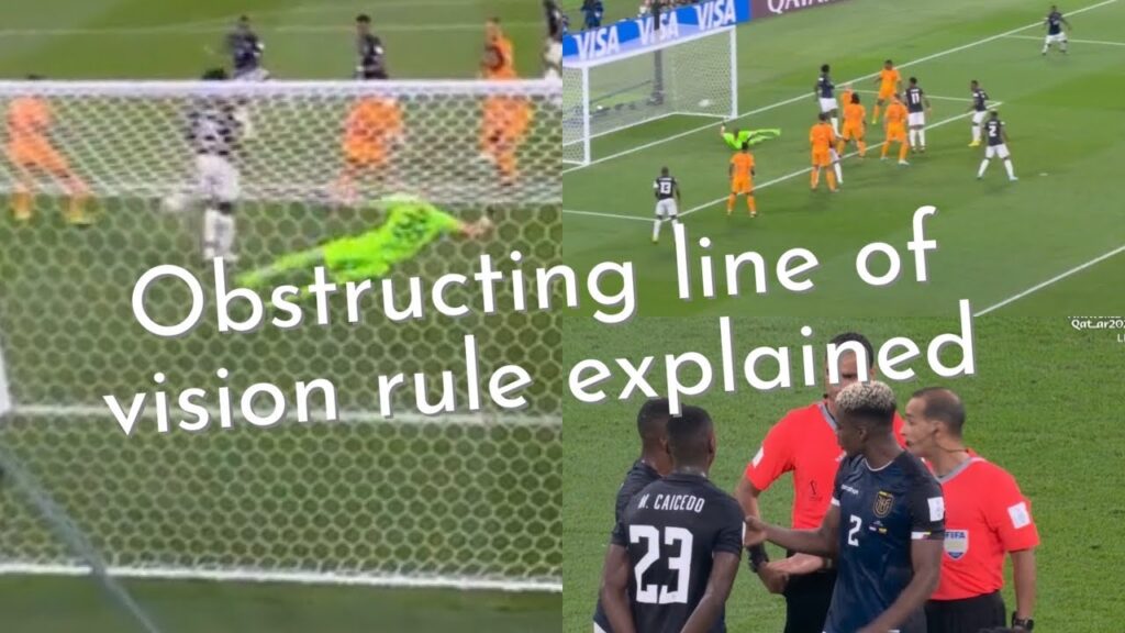 Netherlands v Ecuador offside goal controversy | FIFA World Cup 2022 | Obstructing line of vision