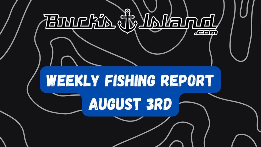 Fishing Report-August 3rd - Neely Henry, Weiss, Logan Martin, Lay, Guntersville, Lake Martin, Jordan