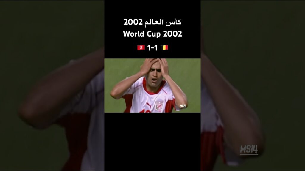 بلجيكا 1-1 تونس | كأس العالم 2002