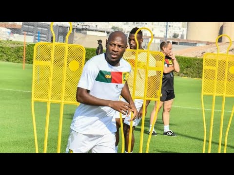 Quelques images de la dernière séance d'entraînement des Nos Lions / Mercredi 16 Nov.