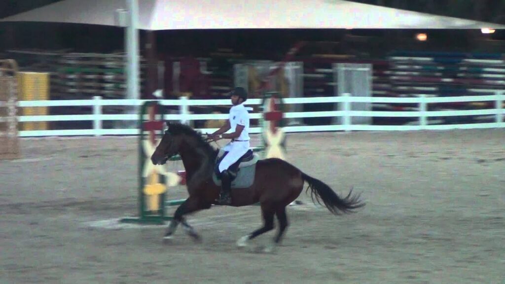 Mosaed Al Shuaibi - Wait And See